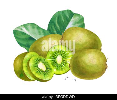 Composizione acquerello botanico dipinto a mano di kiwi freschi, compresi frutti interi, pezzi a fette che mostrano polpa verde vibrante e tropicale Foto Stock