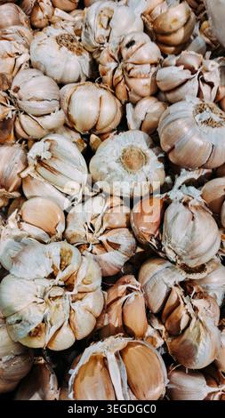 Un sacco di bulbi d'aglio freschi su un vassoio del supermercato Foto Stock