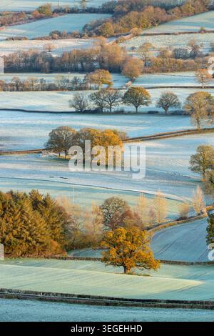 Campi ricoperti da uno strato di gelo mattutino, Shropshire, Inghilterra Foto Stock