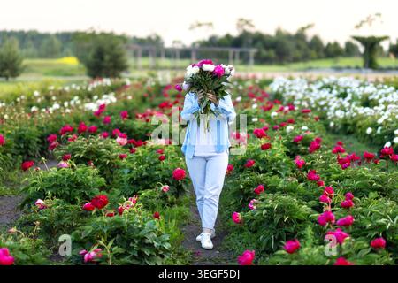 Donna che si nasconde dietro un grande bouquet di peonie in fiore nel campo dei fiori. Affronta un ritratto anonimo di ragazza irriconoscibile Foto Stock