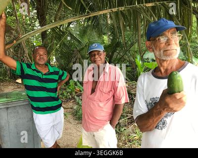 Foto editoriale di tre uomini del posto che si sono messi insieme all'aperto tra lussureggianti palme tropicali e una vibrante vegetazione verde. Foto Stock
