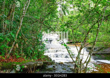 Una cascata serena si estende su rocce, circondata da piante tropicali e vegetazione vibrante nella regione Guaviare della Colombia. Foto Stock