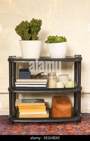 Scaffalatura in plastica scura a tre livelli ordinatamente disposta con succulente vaschetta, libri, candele e una borsa cosmetica in pelle. Foto Stock