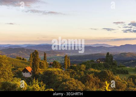 Calda luce serale sulle colline ondulate e le foreste della Stiria, Austria. Paesaggio panoramico della campagna nella regione vinicola austriaca. Foto Stock