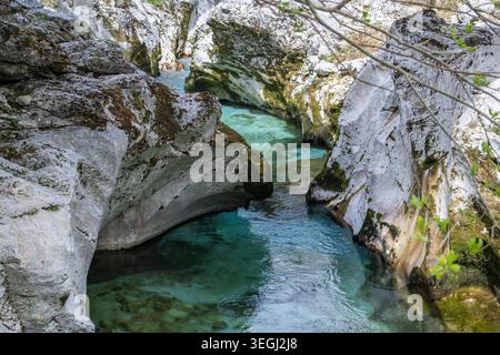 Il fiume Soca in Slovenia scorre attraverso rocce lisce in Slovenia. L'acqua limpida riflette le pietre circostanti. L'impostazione mostra una scena naturale con uni Foto Stock