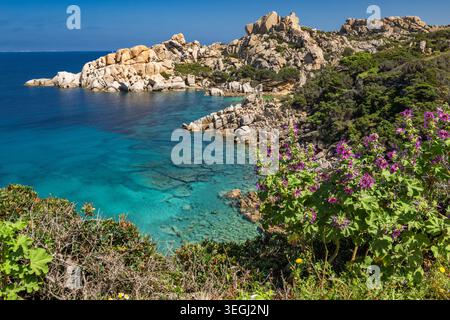 Sardynia in Italia mostra acque cristalline che incontrano scogliere rocciose. Le piante verdi crescono vicino al bordo. Il sole splende sulla zona, rendendola un bel da Foto Stock