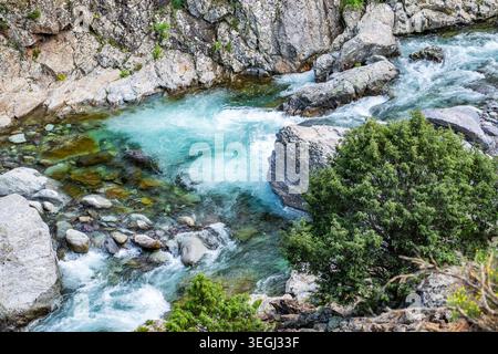Un fiume scorre attraverso un'area rocciosa in Corsica, Francia. L'acqua è limpida e turchese, si muove rapidamente su pietre e circondata dal verde. La sc Foto Stock