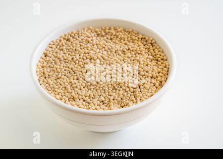 Un generoso mucchio di urad dal crudo e scuoiato, un legume salutare usato nella cucina dell'Asia meridionale. Foto Stock