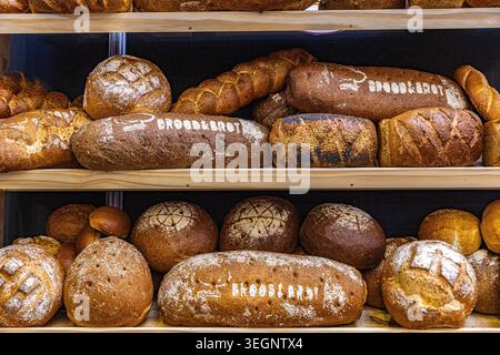 Varietà di pani artigianali appena sfornati, pane rustico e panini in mostra alla fiera gastronomica GastroCanarias 2026 Foto Stock