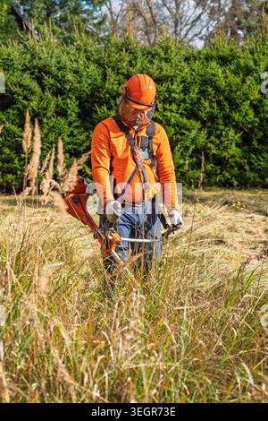 Giardiniere che utilizza il tagliadadi per tagliare l'erba alta nel campo, indossando l'attrezzatura di sicurezza e gli indumenti arancioni Foto Stock