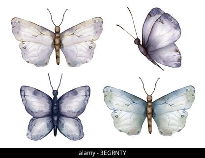 Set di delicate e graziose farfalle in tonalità di grigio e blu pastello viola. Illustrazione ad acquerello disegnata a mano su sfondo bianco isolato. Per Foto Stock