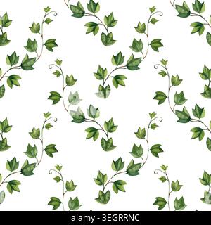 Motivo acquerello senza cuciture con eleganti rami di edera verde e ramoscelli arrampicanti con foglie. Delicata illustrazione botanica per inviti di nozze Foto Stock