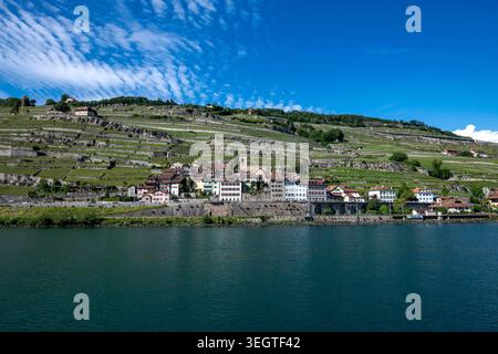 Svizzera, Svizzera, Vaud, Waadt, Lavaux, UNESCO, vignoble, Weinberg, vigneto, LAC Léman, Genfer SEE, Lago di Ginevra, Saint-Saphorin, villaggio, Foto Stock