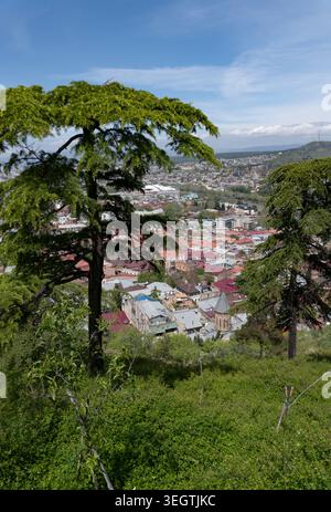 Il paesaggio urbano della città vecchia di Tbilisi incorniciato da lussureggianti alberi verdi e vegetazione collinare vista dalla fortezza di Narikala, Georgia, primavera Foto Stock