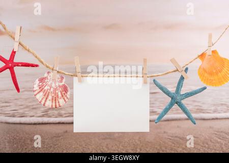 Conchiglie e stelle marine sono appese su una clothesline in spiaggia, asciugando al sole del mattino. Foto Stock