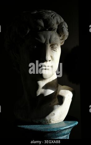 testa del david di michelangelo sul piedistallo Foto Stock