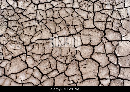 La terra secca e incrinata mostra una grave disidratazione e stress ambientale. La consistenza ad alta risoluzione del terreno arroccato evidenzia i motivi naturali che si formano durante Foto Stock