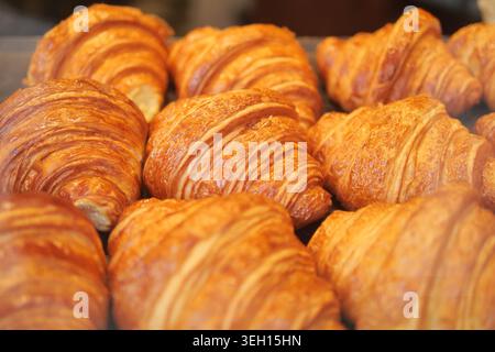 Croissant appena sfornati in una panetteria Foto Stock