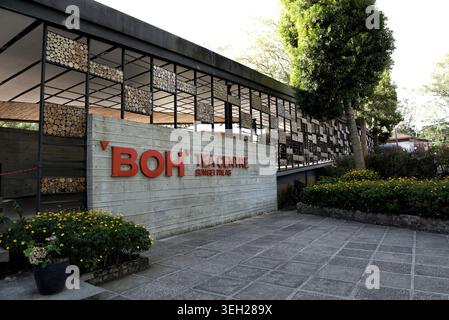 Pahang, Malesia - 20 luglio 2022: BOH Tea Centre Sungei Palas, iconica destinazione del tè a Cameron Highlands, Malesia - le piantagioni BOH, Malesia la Foto Stock