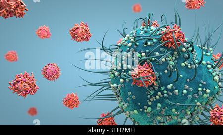 Una cellula dendritica è una cellula immunitaria chiave che rileva i virus, cattura i loro antigeni e aiuta ad attivare le cellule T nel sistema immunitario umano. Può adattarsi Foto Stock