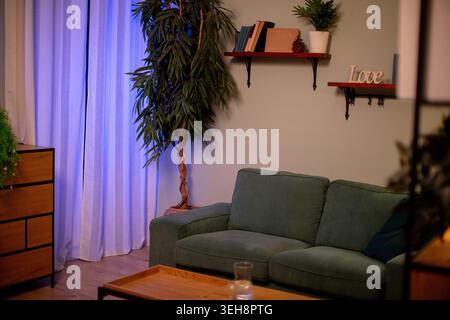 Divano verde e albero in vaso, soggiorno accogliente con tenda viola morbida e dettagli in legno, tavolino basso con bottiglia d'acqua, mensole a muro con libri Foto Stock