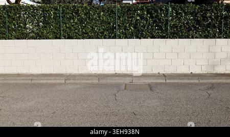 Recinzione bianca in calcestruzzo con rete metallica e siepe sulla parte superiore. Marciapiede in cemento e strada di fronte. Sfondo per lo spazio di copia. Foto Stock