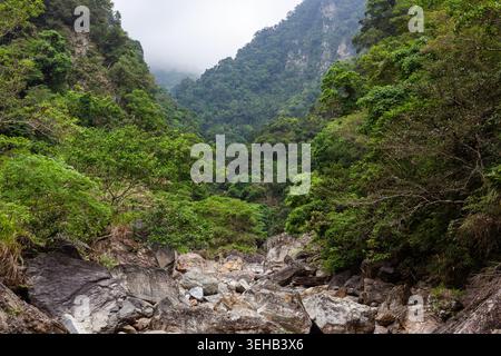 Valle rocciosa del fiume Sanzhanxi nel Parco Nazionale di Taroko. Fitta foresta di montagna verde sotto il cielo nebbioso. Paesaggio naturale a Hualien, Taiwan. Foto Stock