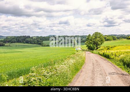 Strada sterrata in campagna con una splendida vista panoramica Foto Stock