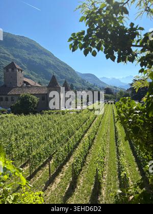Castello Maretsch (Castel Mareccio) circondato da lussureggianti vigneti verdi in primo piano in una bella e soleggiata giornata primaverile a Bolzano, alto Adige, Italia Foto Stock