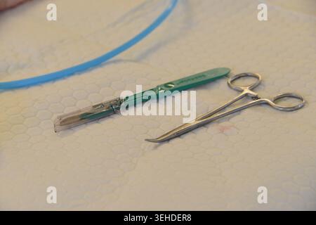 Un bisturi e una pinza si trovano su un cuscinetto di pulizia durante un corso di formazione avanzato sul trauma del Global Training Institute presso l'area di formazione di Pōhakuloa Foto Stock