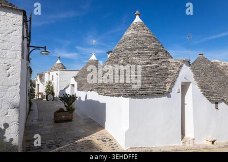 Italia, Puglia, la città di Alberobello con case in pietra bianca e tetti sferici, i trulli. Foto Stock