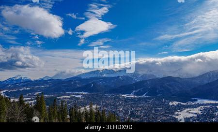 Paesaggio montano ad alta quota con neve e pini verdi nel clima soleggiato Foto Stock
