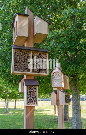 Gruppo di Bee hotel, case per nidificare api solitarie, a McLaren Park, Surrey, Inghilterra, Regno Unito Foto Stock