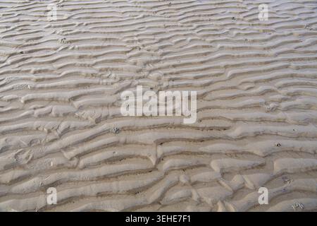 Mare di Wadden, vista dettagliata di Rippelwatt con la bassa marea, bassa Sassonia Parco Nazionale del Mare di Wadden, Germania Foto Stock