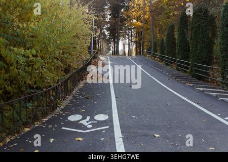 Un percorso tortuoso attraverso un parco circondato da fogliame autunnale. Sulla strada vengono tracciate linee di demarcazione bianche per ciclisti e pedoni. sid linea alberi Foto Stock