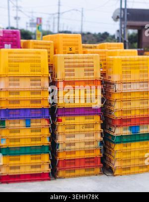 Arancia Jeju e hallabong in vendita nel negozio del mercato agricolo, isola di Jeju, Corea del Sud, mandarini e gamgyul confezionati in scatole e casse di arancia da regalo, Foto Stock