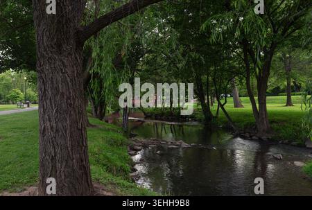 Una vista naturale che guarda oltre un tronco di alberi scuri verso Carroll Creek mentre scorre attraverso Baker Park a Frederick, Maryland. Willow Branches drappeggia sopra t Foto Stock