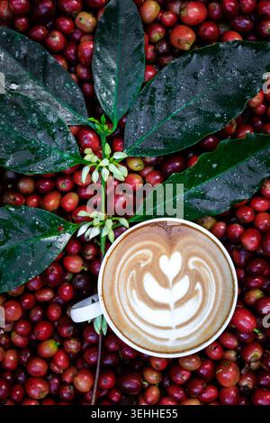 Una vista dall'alto delle ciliegie e delle foglie mature preparate con una tazza da caffè espresso che presenta un cuore latte art professionale per la vendita di bevande speciali Foto Stock