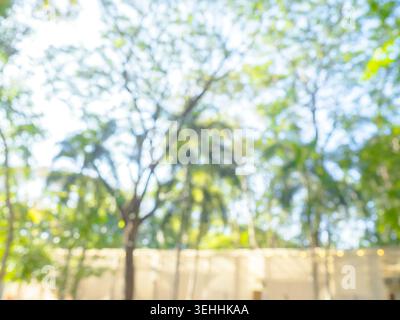Abstract sfondo di alberi verdi sfocati con luce solare in estate, caratterizzato da morbido effetto bokeh, paesaggi naturali all'aperto, ambiente fresco e luminoso Foto Stock