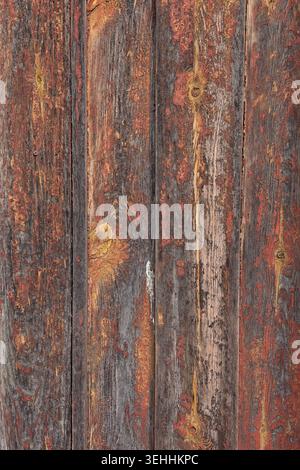 Primo piano di vecchie tavole di legno intemperie con grana testurizzata e vernice rossa sbucciante, Saaremaa, Estonia, Europa. Foto Stock