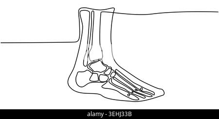 Anatomia minimalista a linea continua disegnata a mano del piede umano Illustrazione Vettoriale
