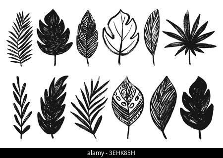 Set di foglie tropicali grunge. Pennello sagome a foglie tropicali vettoriali ruvide, monstera, foglie di palma, eucalipto, foglie di cocco. Illustrazione Vettoriale