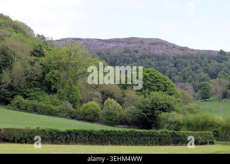 La falesia calcarea di Bryn Alyn, localmente conosciuta come Pot Hole Crag, Llanferres, Denbighshire, Galles Foto Stock