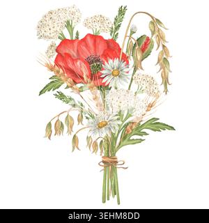 Bouquet di papaveri rossi, freccia bianca, margherite, steli d'avena e orecchie di segale con foglie verdi. Dipinto a mano, isolato. Per arredamento, imballaggio Foto Stock