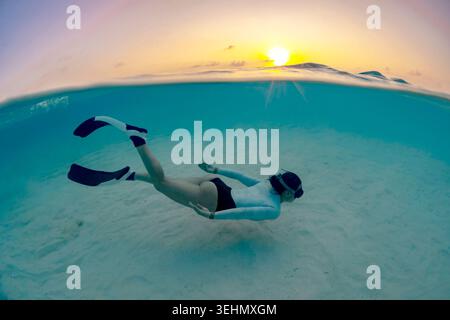 Il diapason scivola su una barriera corallina di sabbia di ladri nella cristallina laguna tropicale all'alba, vista su due livelli che mostra una superficie calma e una scena subacquea. Foto Stock
