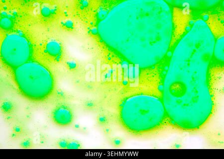 Fondo di olio astratto con sfere turchesi galleggianti e bolle su un campo bianco, per creare una consistenza liquida vivace ideale per un design moderno, poste Foto Stock