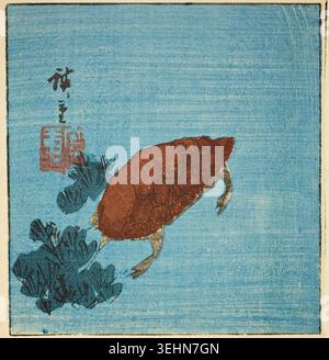 Tartaruga di Utagawa Hiroshige, intorno al 1840, raffigurante una tartaruga marrone che nuota tra le alghe blu in acque calme Foto Stock