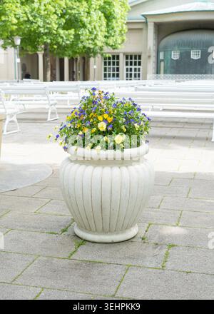 Bad Kissingen, Germania, 05.17.2026. Primo piano di una grande piantatrice di pietra classica piena di fiori colorati in fiore in un parco pubblico. Panchine bianche Foto Stock