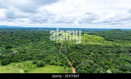 Una vasta vegetazione si estende all'orizzonte con un sentiero sterrato che si snoda attraverso la fitta foresta di Guaviare, Colombia, sotto cieli nuvolosi. Foto Stock