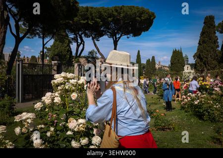 Donna che scatta una foto di rose in fiore al Giardino Civico delle Rose di Roma. Roma, Italia - 24 maggio 2026: Una giovane donna che indossa un cappello di paglia e abiti colorati utilizza il suo smartphone per scattare una foto di un cespuglio di rose bianche in piena fioritura al Giardino delle Rose Municipali di Roma. Lo sfondo mostra il parco pubblico con alberi e altri visitatori sotto un cielo azzurro. Roma RM Italia Copyright: XGennaroxLeonardix Foto Stock